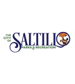 Saltillo Parks and Recreation